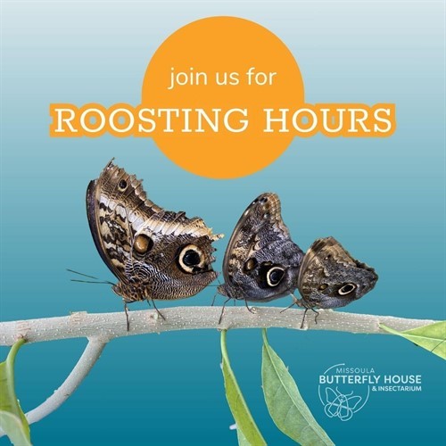Roosting Hours Image Agile_thumb.jpg